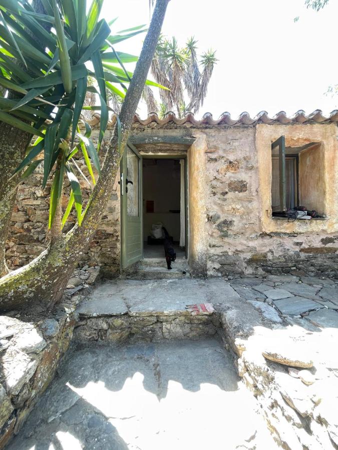 Circadia - B&B