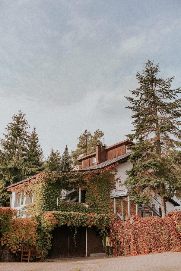 Przylesie 12 - B&B