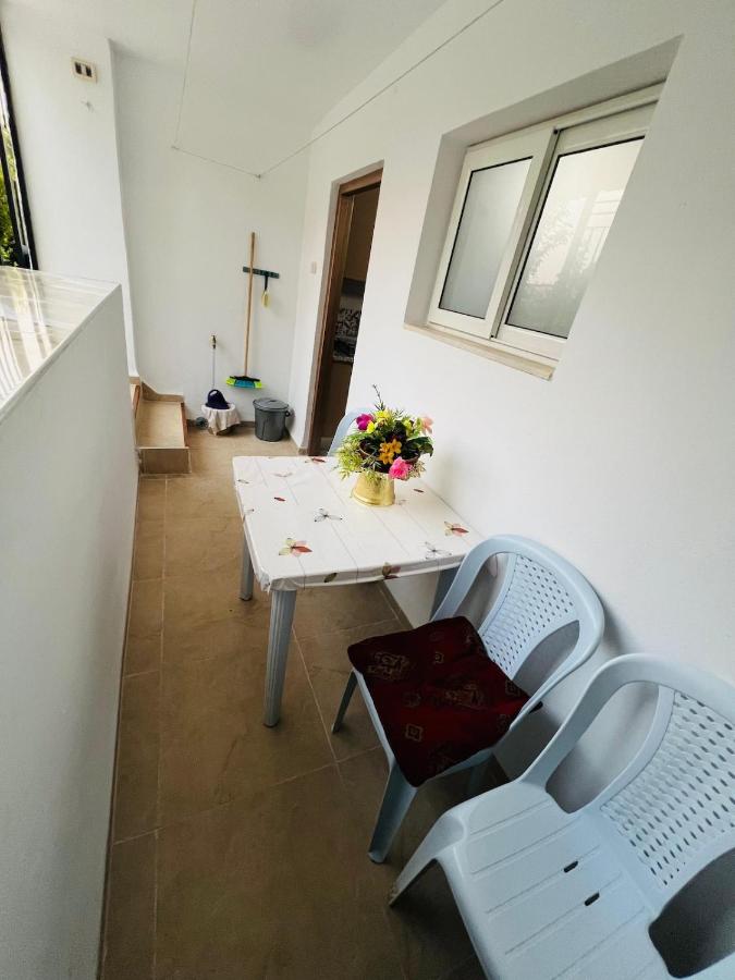 family house ain draham - B&B
