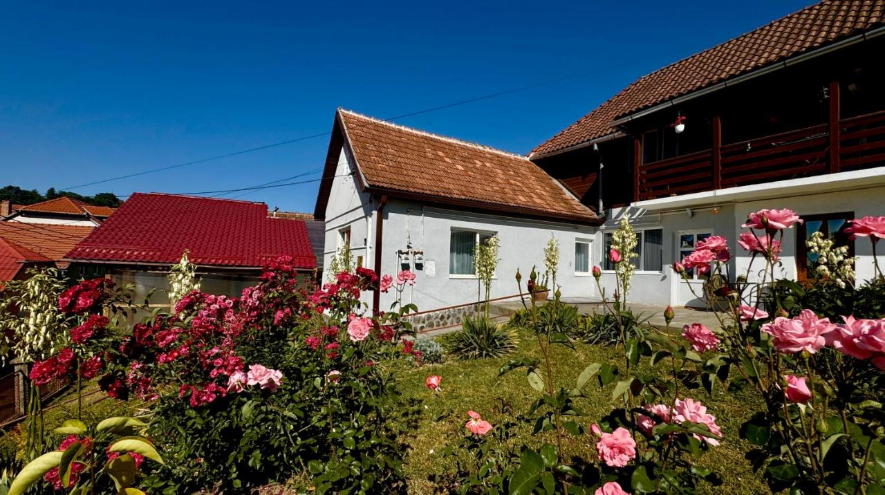 Apartament ACs Studio - B&B Sighișoara