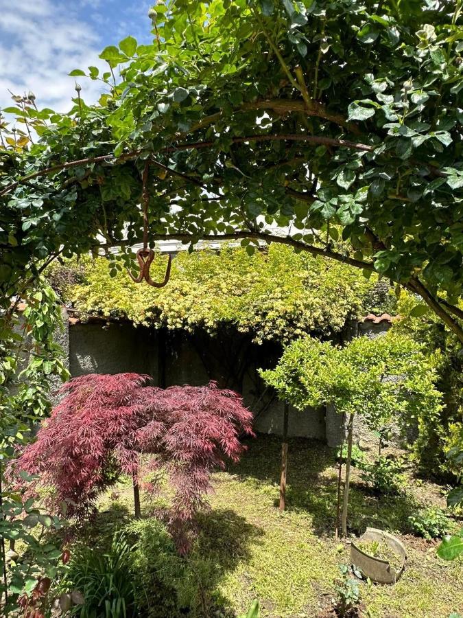 Kakheti Telavi - B&B
