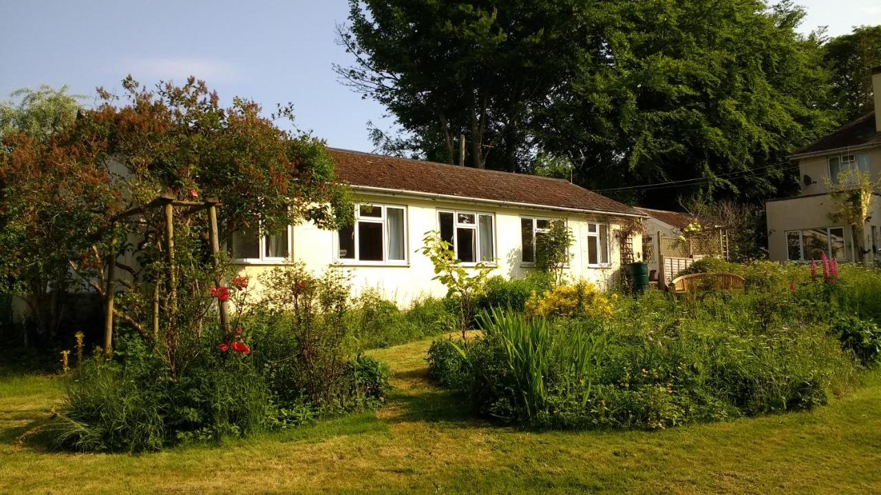 Robin Hill Cottage - B&B