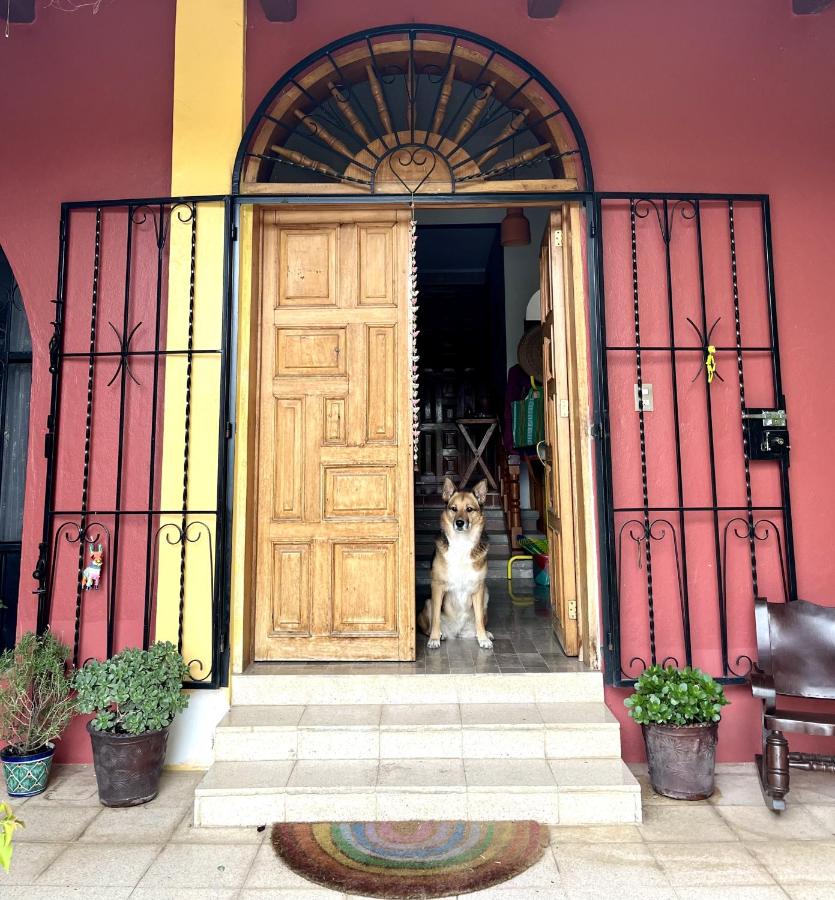 Casa MachiKouss - Habitación Machi - B&B San Agustín Etla