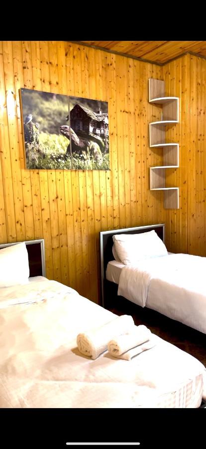 Twin Room with Mountain View