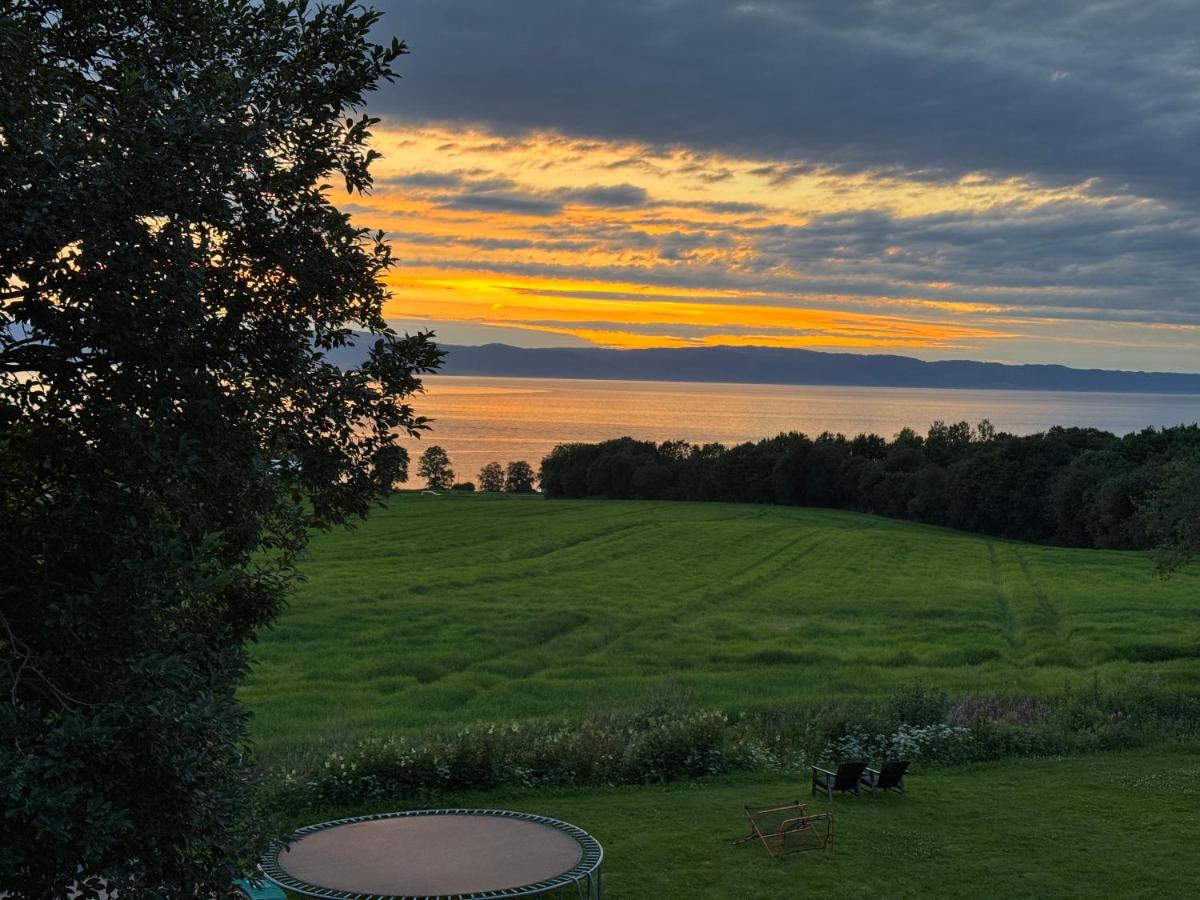Unique guest house with amazing views! - B&B Trondheim