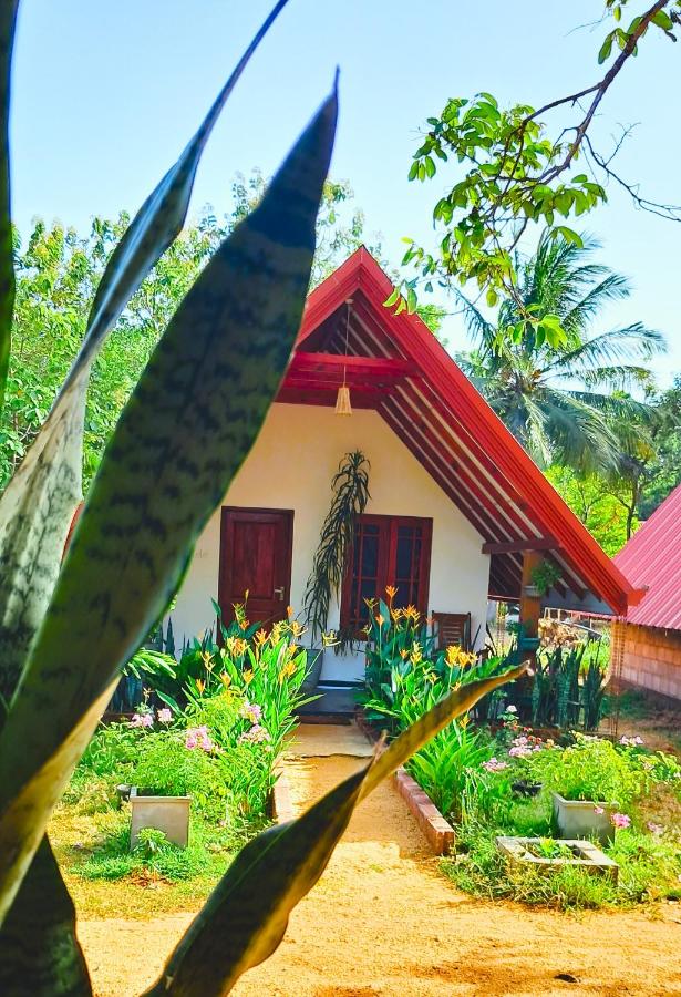 Sigiri Enaya Cottage - B&B