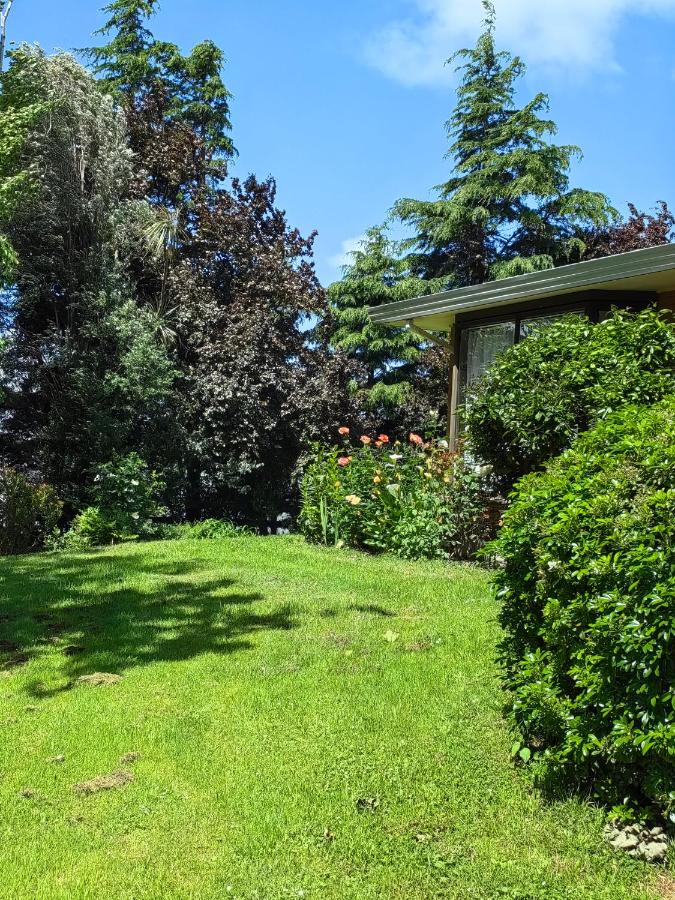 Cozy 3 安逸舒适小屋 - B&B Christchurch