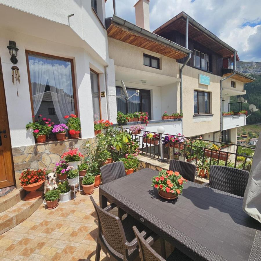 Къща за гости Здравец - Bed and Breakfast Trigrad