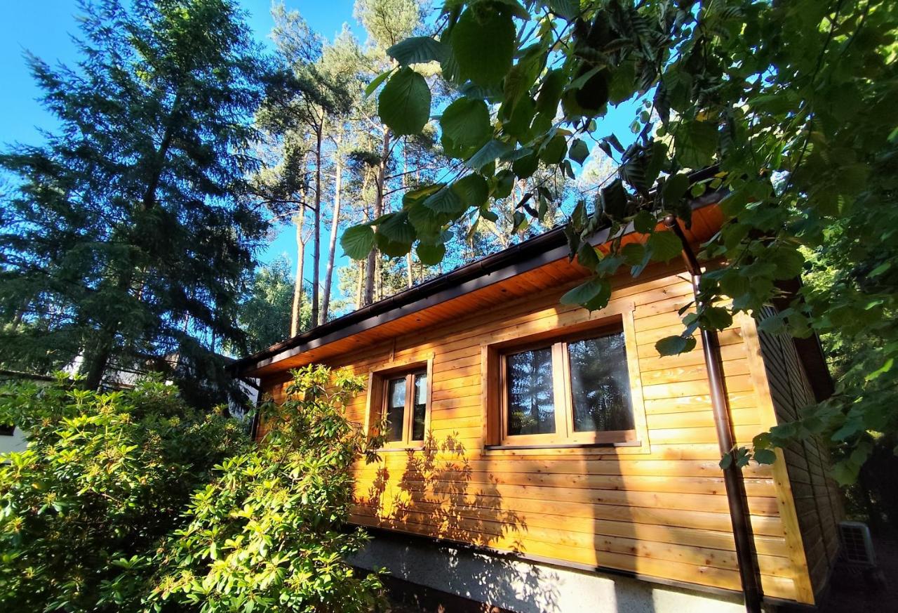 Jutowa Chata - nocleg bliżej natury - B&B