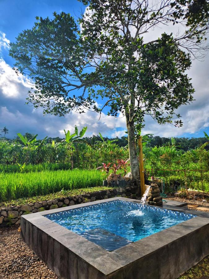 Umaloka Eco Villa - B&B Tirtagangga