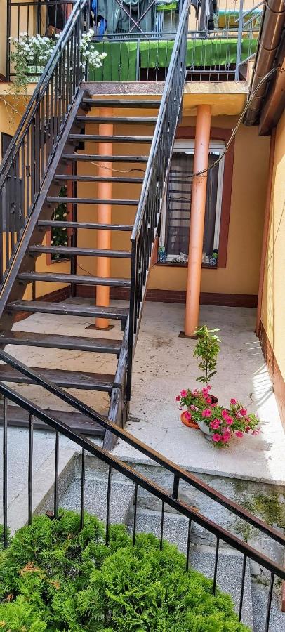 Estudio con terraza