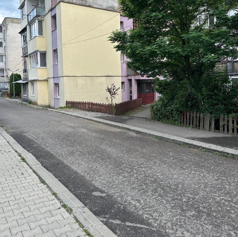 Gold Vibe Apartment - Bed and Breakfast Topliţa