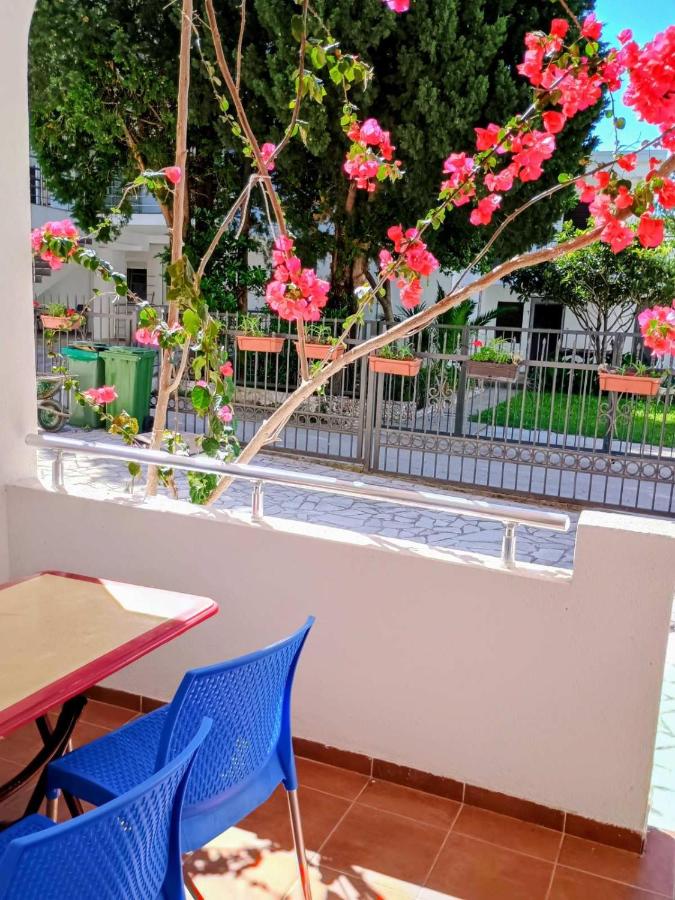Appartement - Rez-de-Chaussée