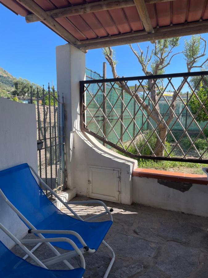 casa l'olivo - Ferienwohnung Ischia