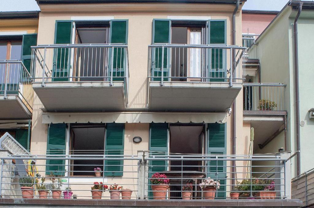 Le terrazze di katia apartment - B&B Riomaggiore