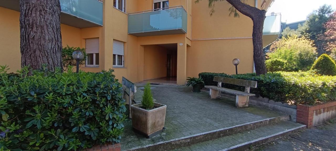 Casa Bramante 23 - B&B Senigallia