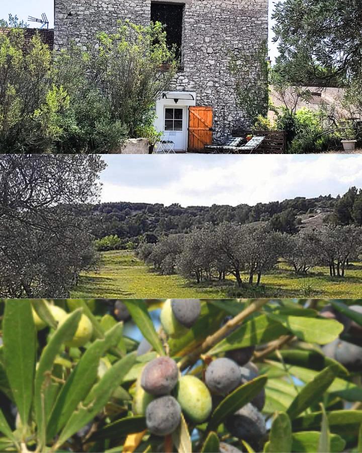 Les Oliviers - B&B