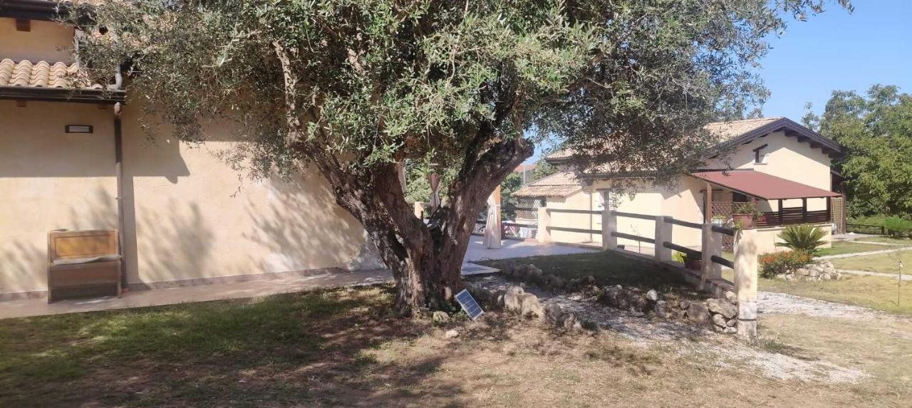 Bluiaia case vacanze tropea - Ferienwohnung Caria