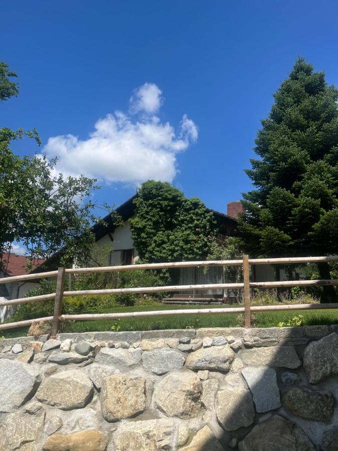 Wettinger Weiherbungalow - B&B