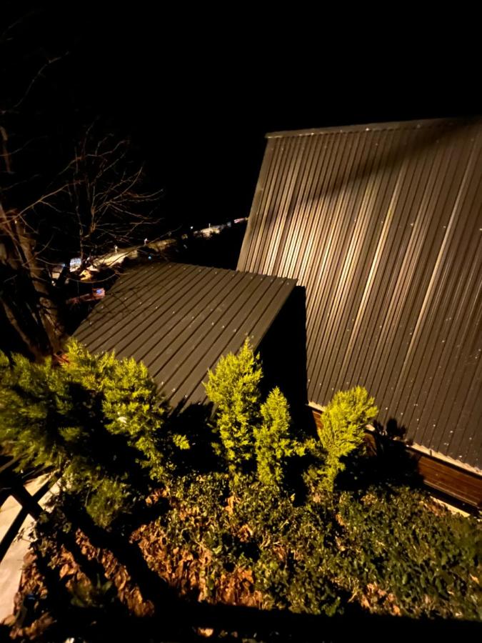 Chalet mit 1 Schlafzimmer