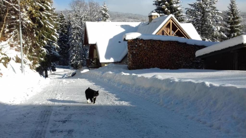 Apartmány HUT 2 - B&B Harrachov