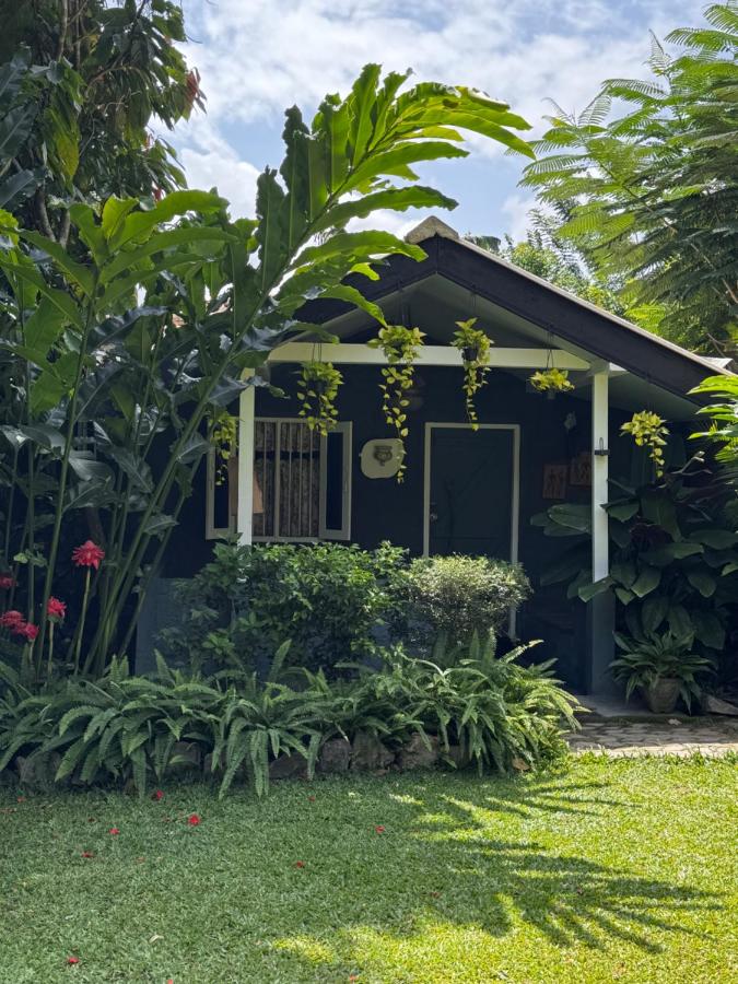 Chalet Extérieur - Vue sur Jardin