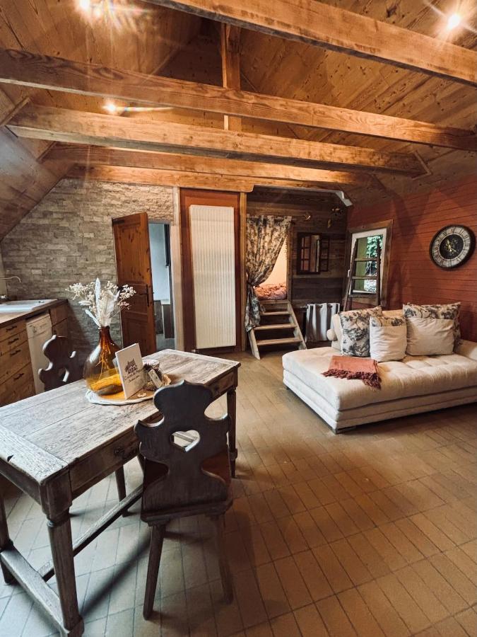 Les Brimbelles - Bed and Breakfast Le Bonhomme