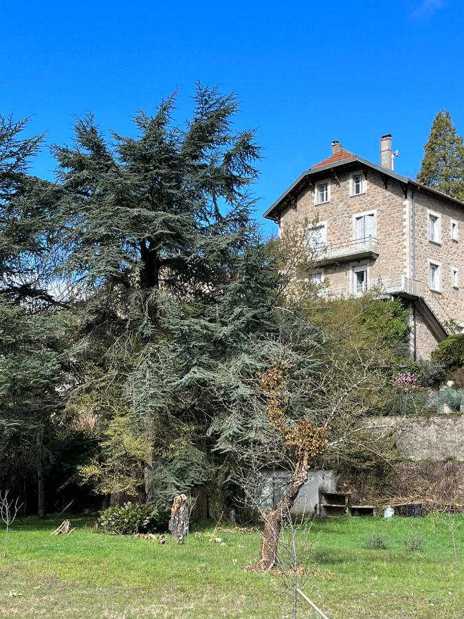 Lamamas2 - B&B
