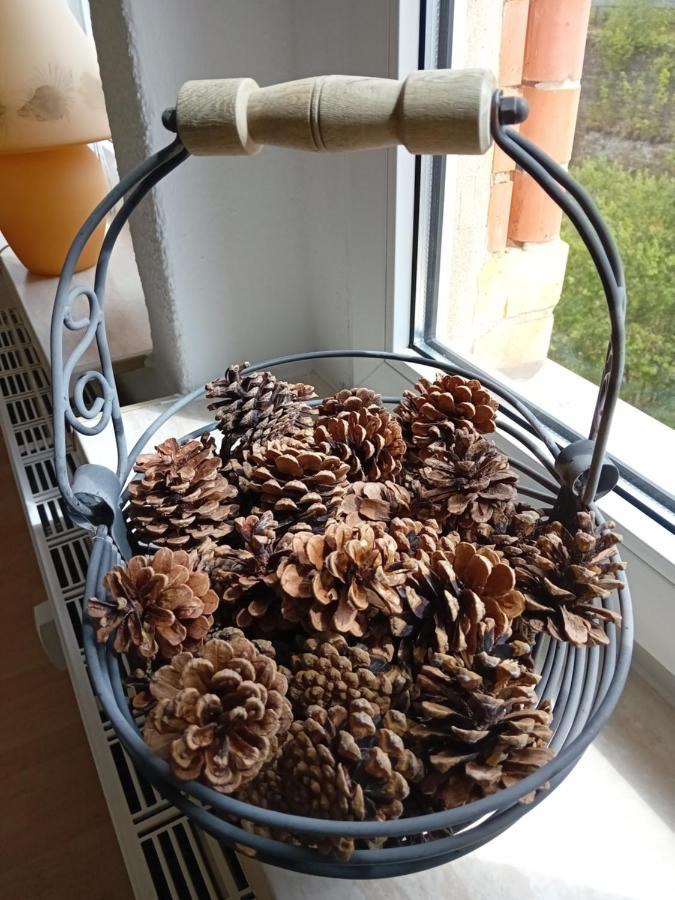 Erzgebirge - Ferienwohnung Schneeberg