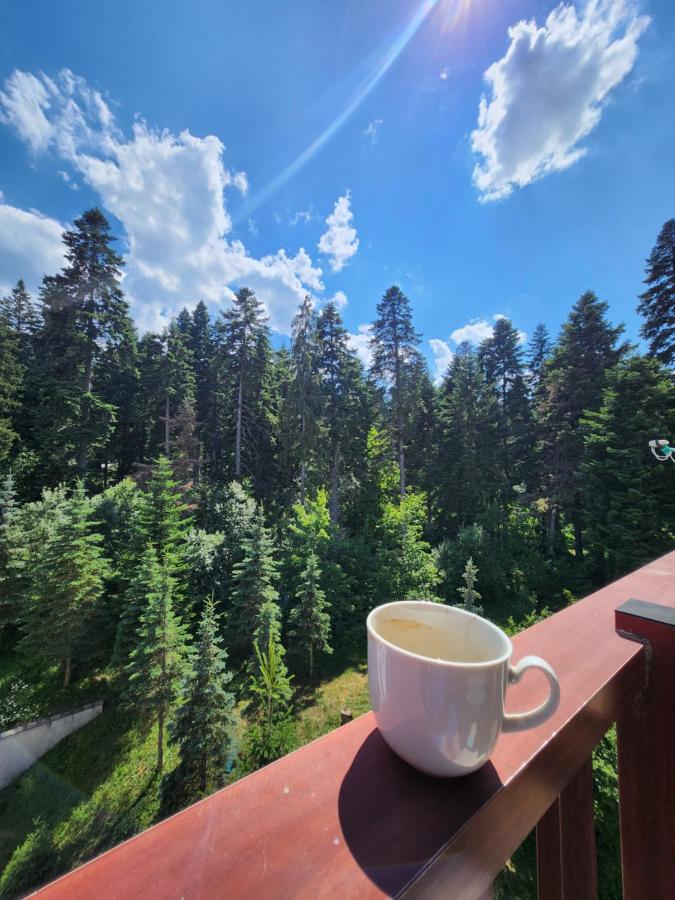 Borovets Violet by Ski slopes - Bed and Breakfast Borovets