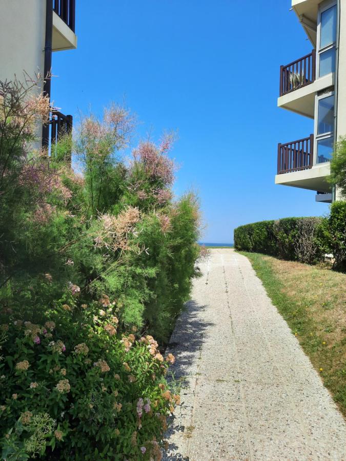 Horizon Marin accès direct plage - B&B Cabourg