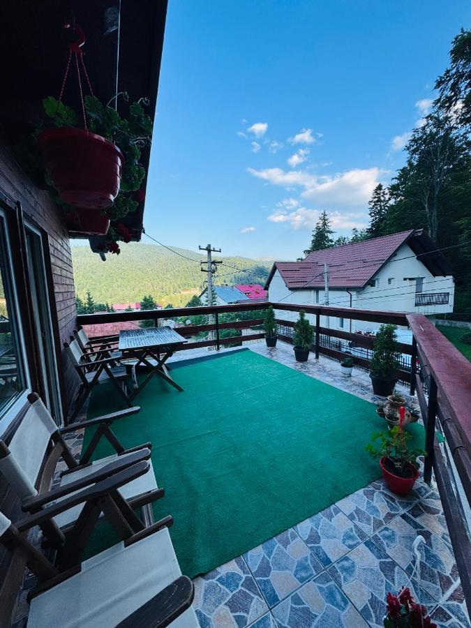 Vierbettzimmer mit Terrasse