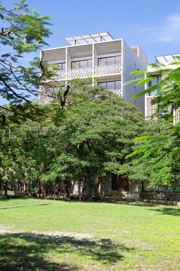 Fabulous Loft With Pool - B&B Cancún