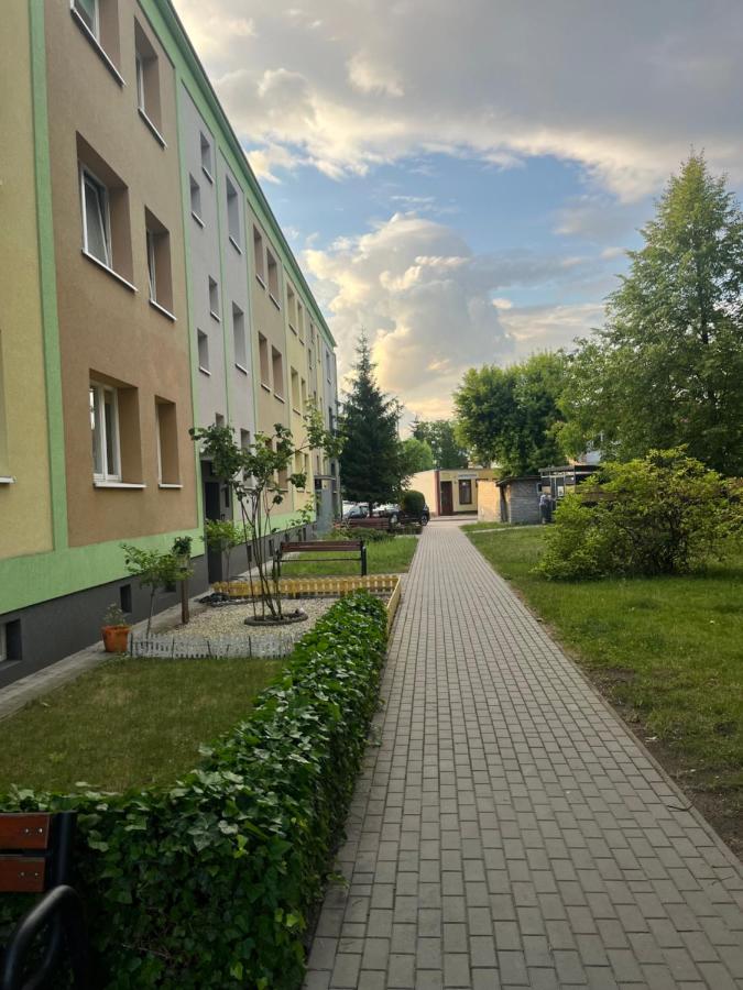 Studio w centrum - B&B