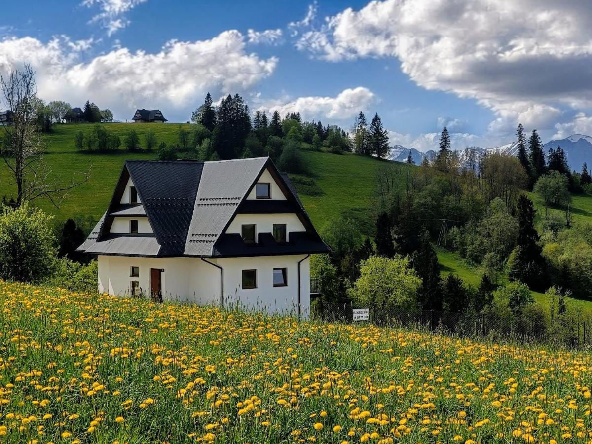 Apartament Kwiat Paproci - B&B