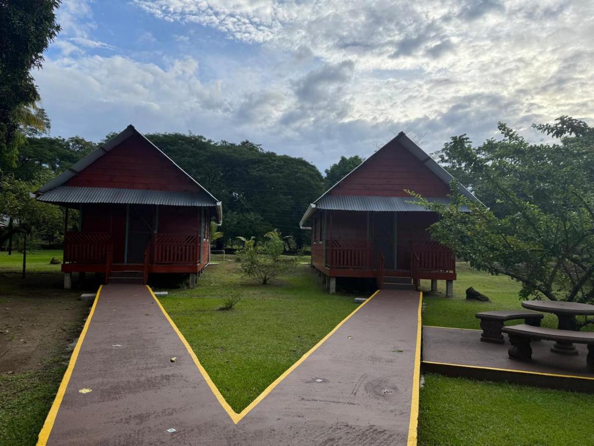 Cabinas Tortuguero Sports Fishing - Chambres d’hôtes Tortuguero