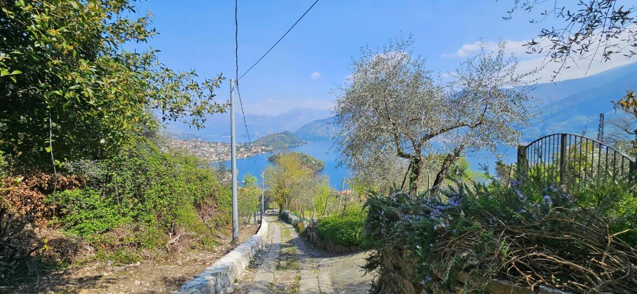 Baita La Lidia - B&B