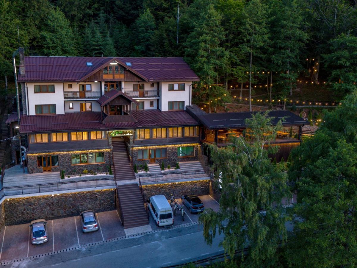 Pensiunea Ayana - B&B Petroşani