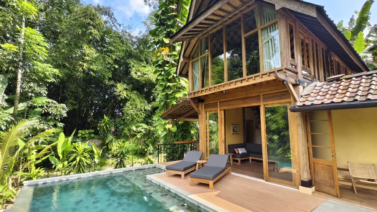 Lotus Forest Houses - B&B