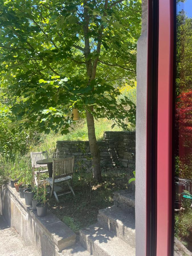 Vegan bed and breakfast Colle della luna - Bed and Breakfast Borgo Pace