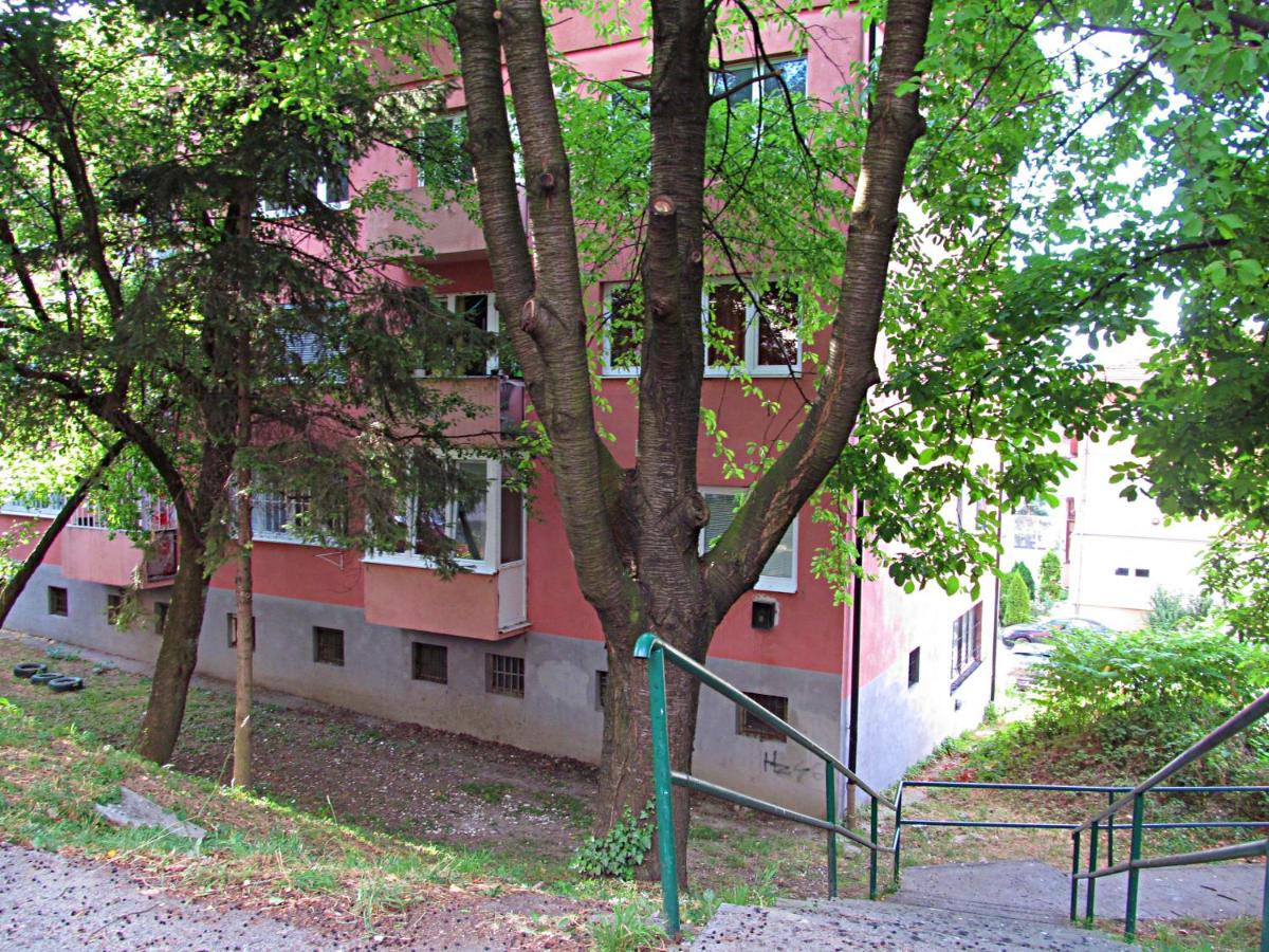Cozy Sarajevo Stay - B&B Sarajevo