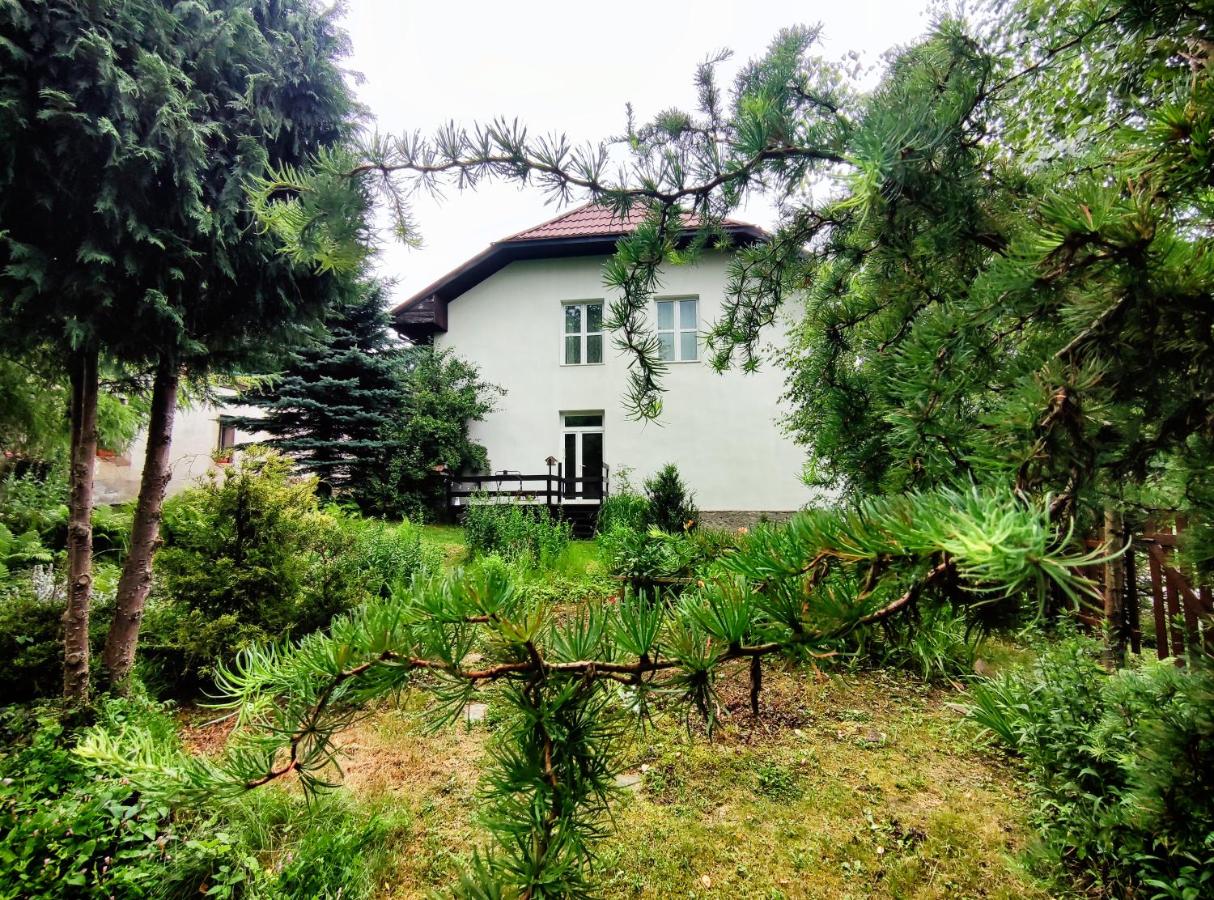 Stara Szkoła w Romanowie - B&B