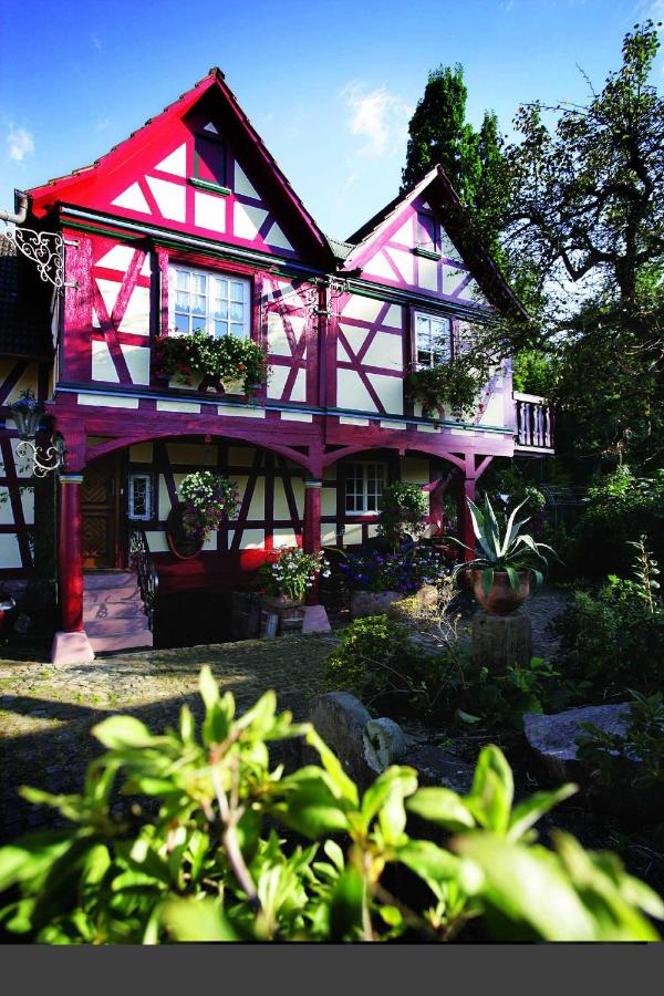 Romantik-Pension Vogt - B&B
