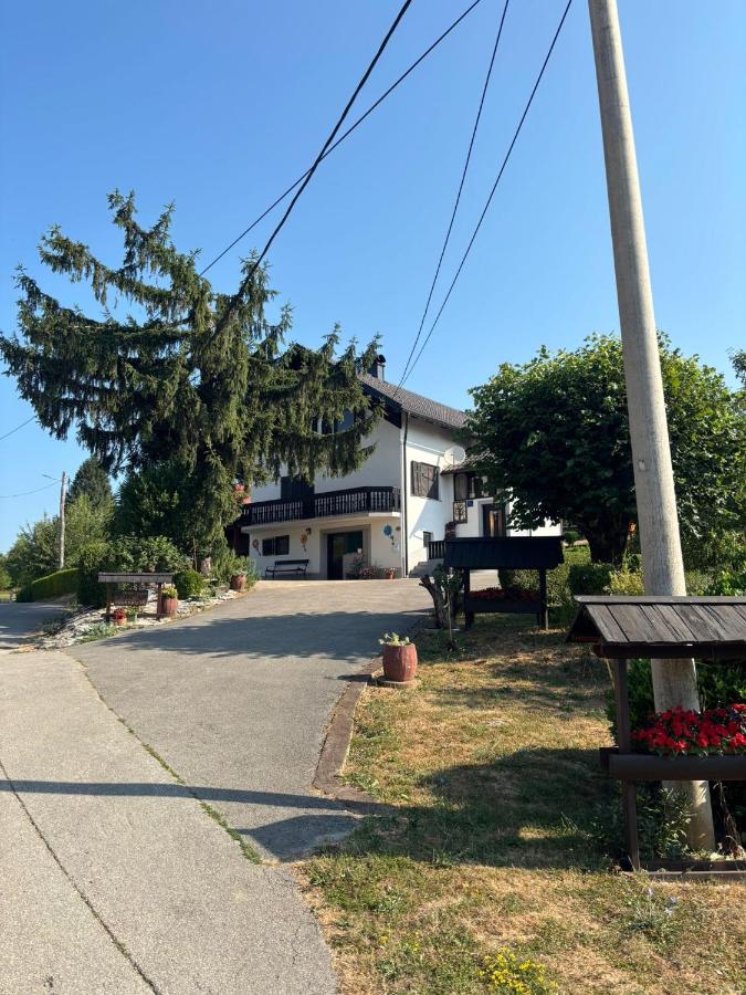 Apartment Jelena - B&B
