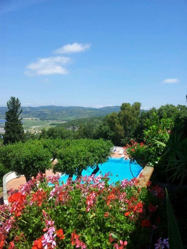 Casa Oliva Ansedonia - B&B Ansedonia