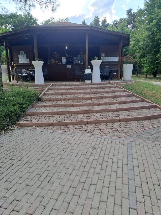 Casa Federica - Bed and Breakfast Manerba del Garda