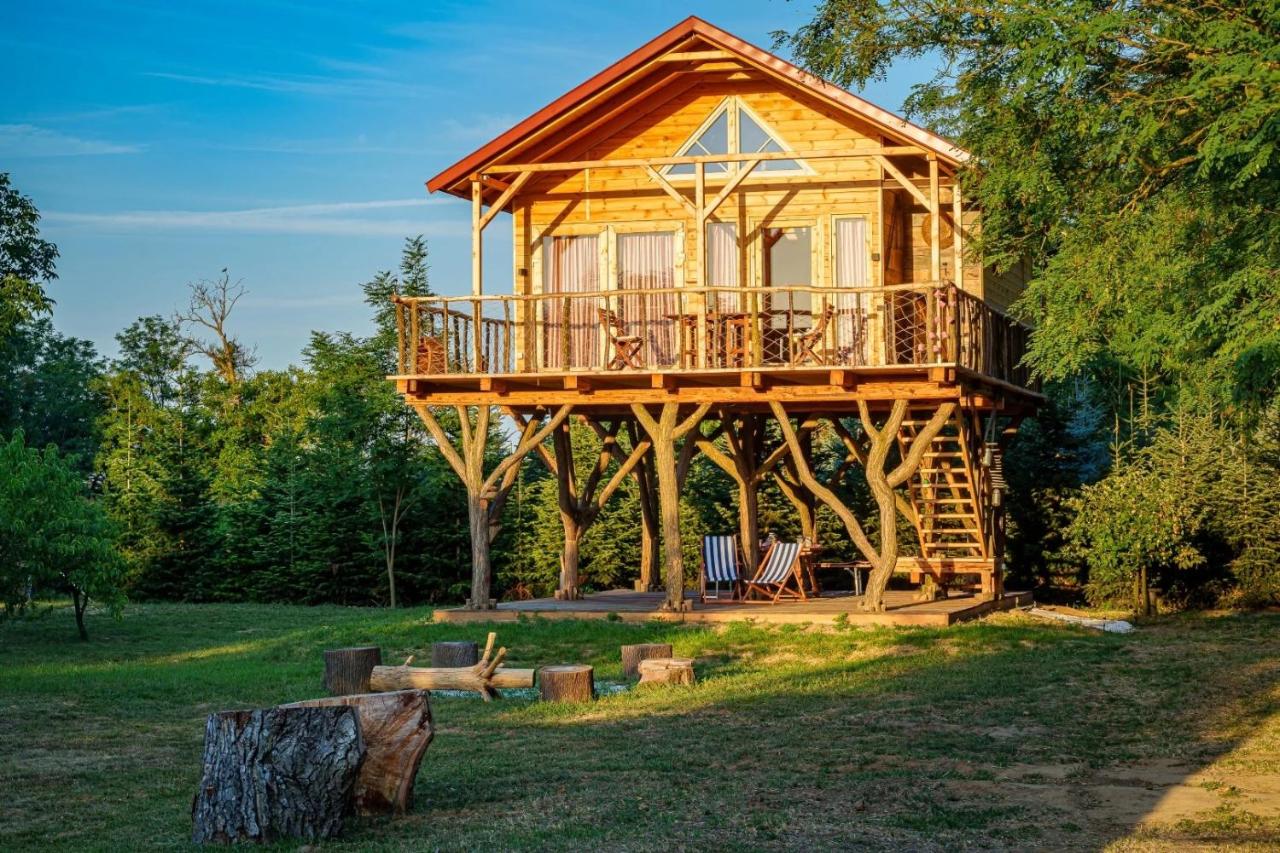 EHM Baumhaus Chalet nahe Therme & Natur - B&B Mesteri