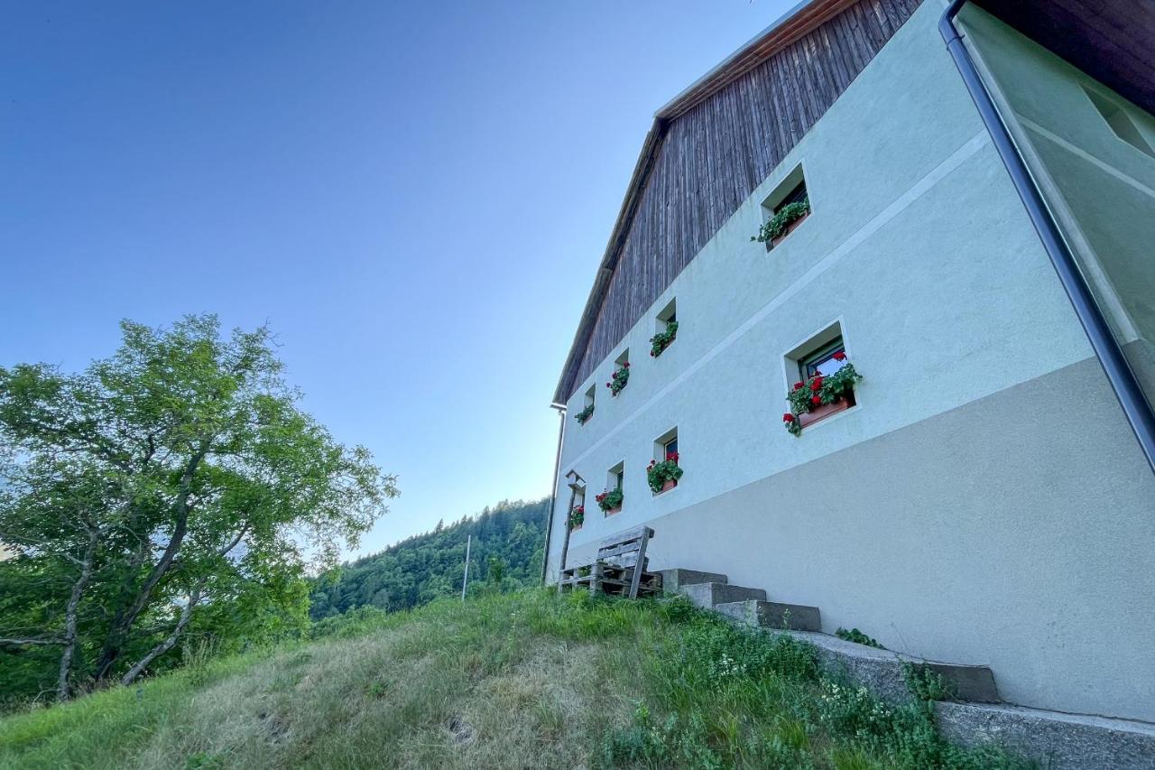 Hikers Hut Pr Blažu - B&B