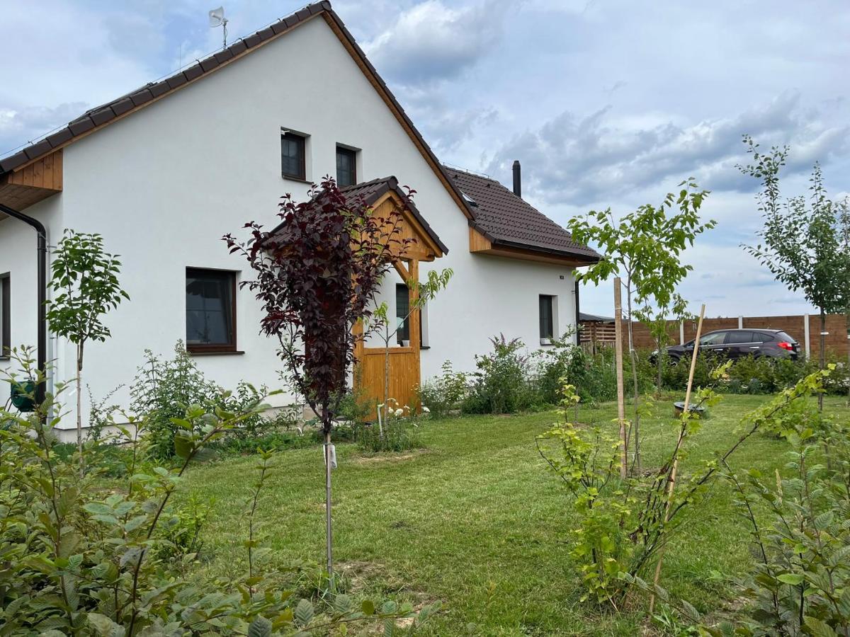 Prázdninový dům Cep, Třeboňsko - B&B Cep