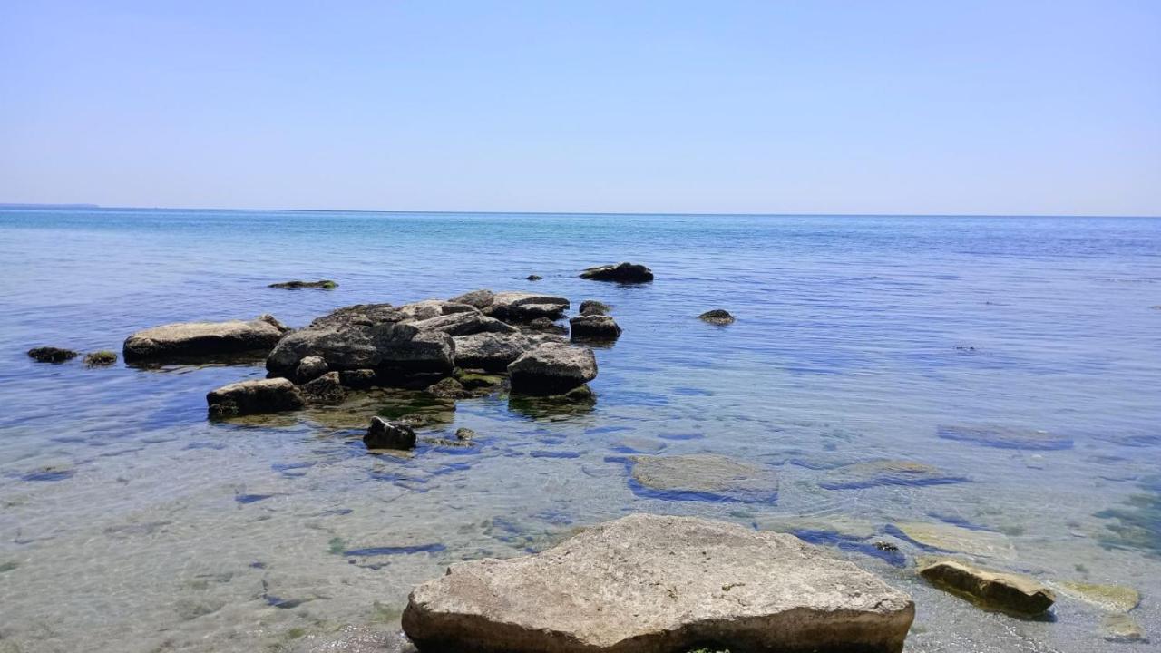 Sea View - Ferienwohnung Topola